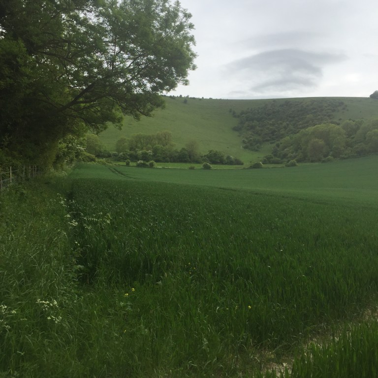 Ditchling Beacon