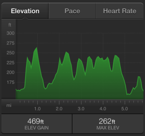 Adidas Thunder Run 24 2015 Elevation