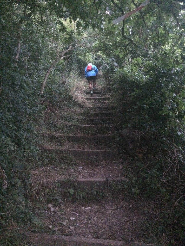 Detling Steps