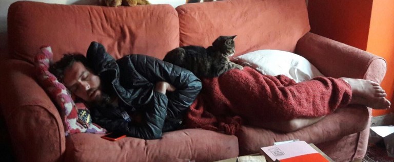 ABP Southampton Marathon sleep cat sofa home