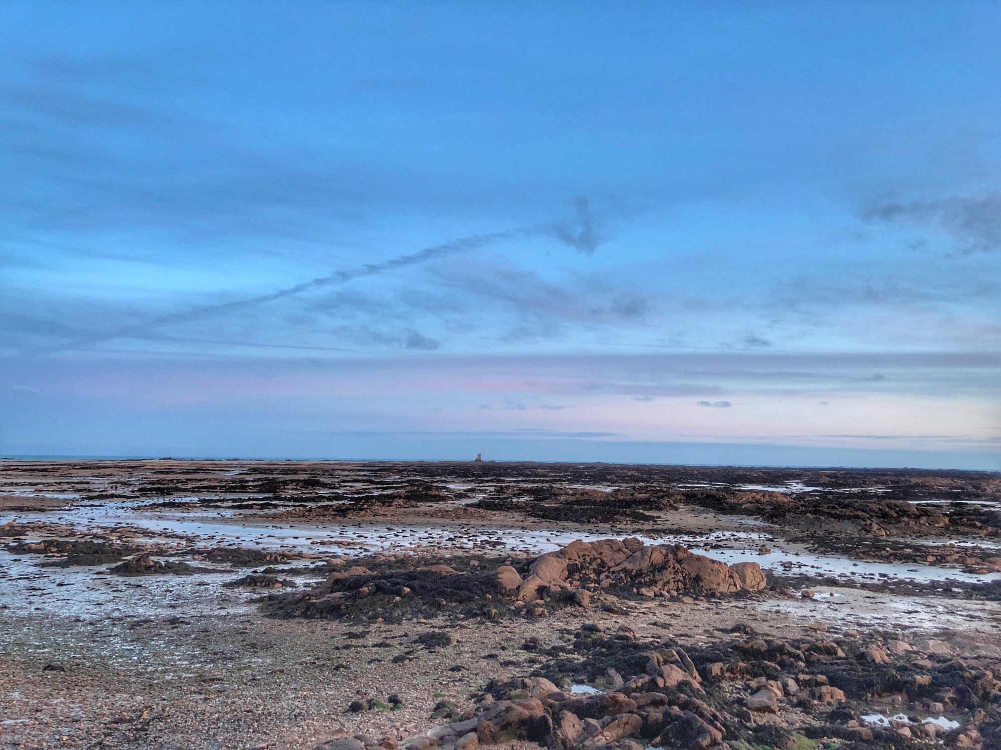 Seymour Tower Jersey