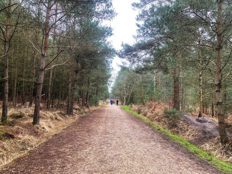 Moors Valley Country Park parkrun