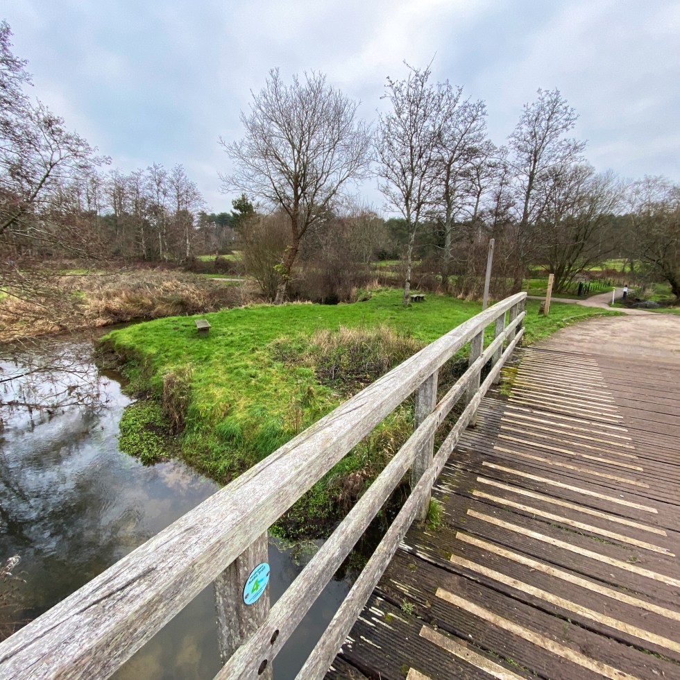 Moors Valley Country Park parkrun